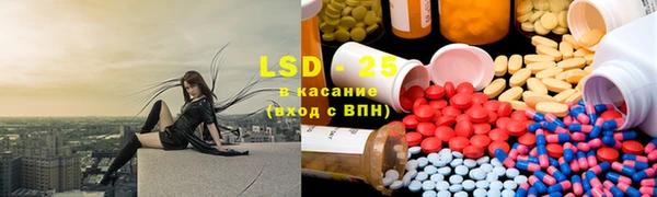 индика Елизово