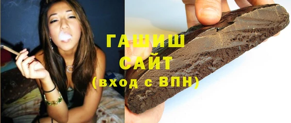 индика Елизово