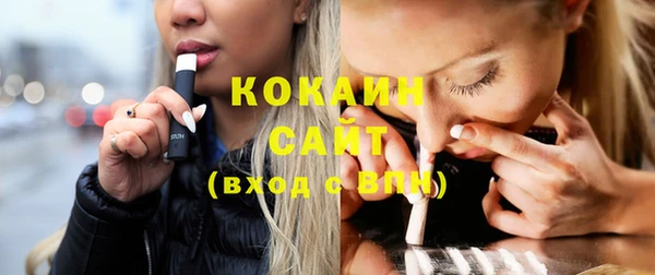 индика Елизово
