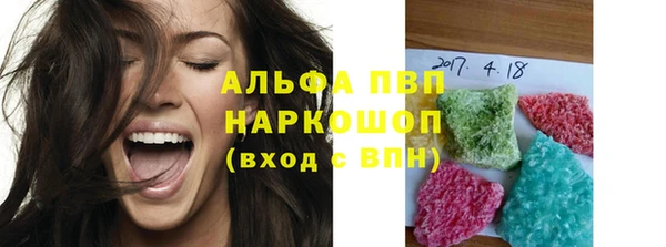 индика Елизово