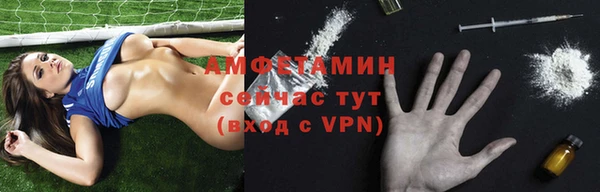 индика Елизово