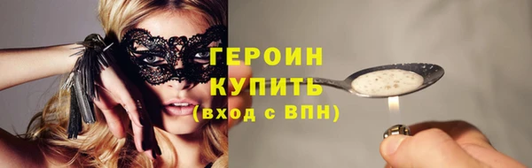 индика Елизово