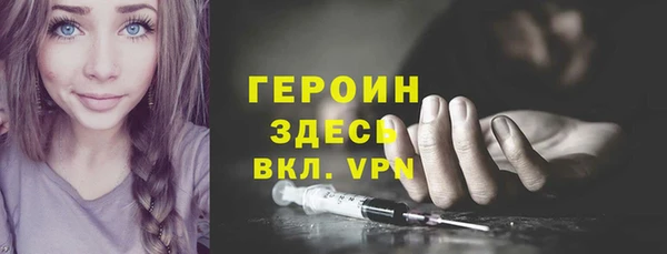 индика Елизово