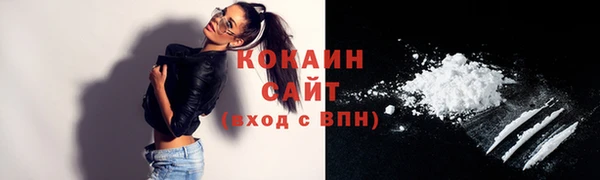 индика Елизово