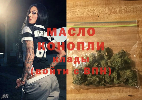 индика Елизово