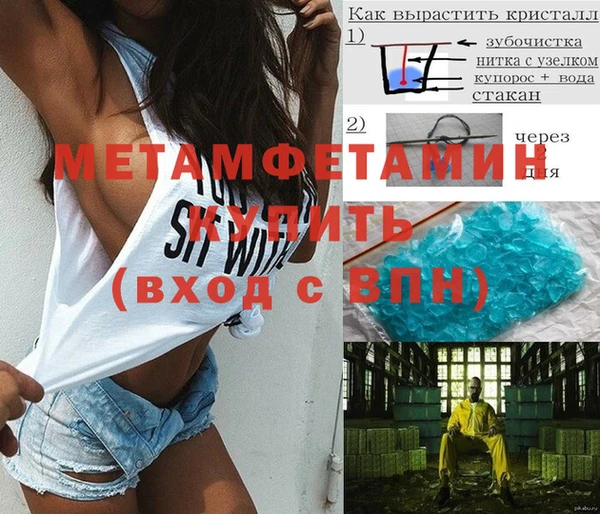 индика Елизово