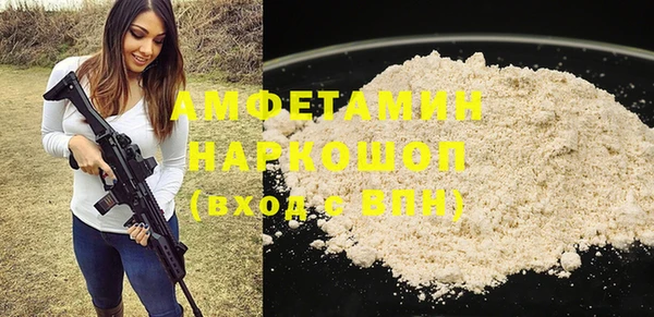 индика Елизово