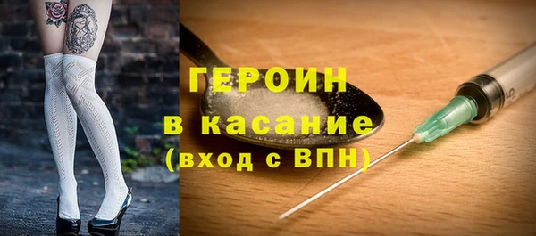 индика Елизово