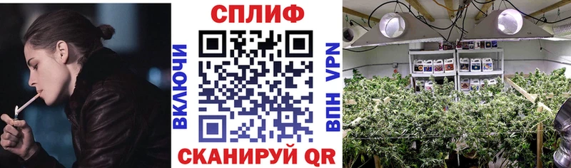 Канабис SATIVA & INDICA Дербент
